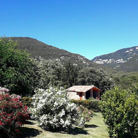 Can Pedragos Sales de Llierca ภายนอก รูปภาพ