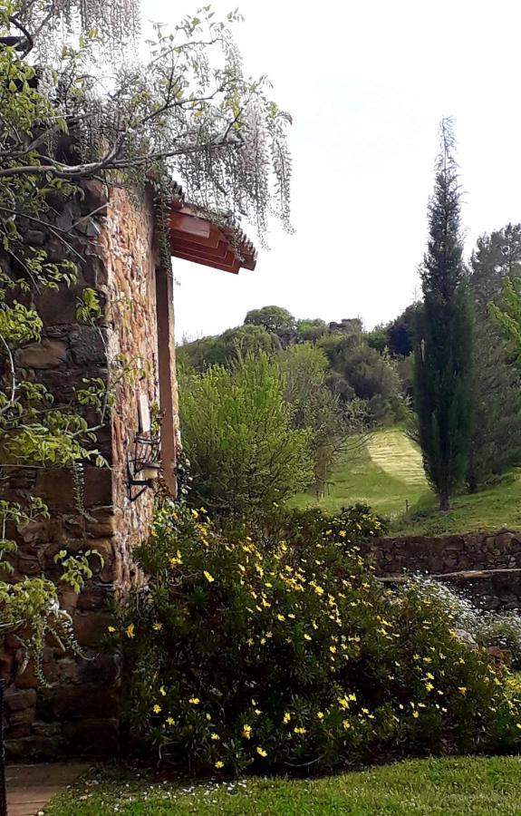 Can Pedragos Sales de Llierca ภายนอก รูปภาพ
