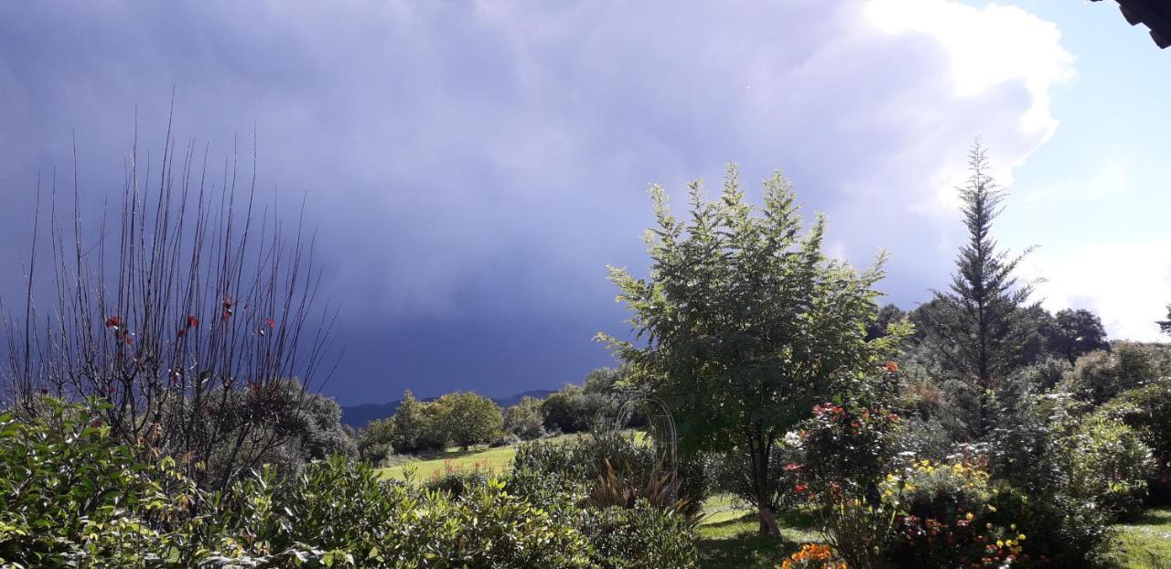Can Pedragos Sales de Llierca ภายนอก รูปภาพ