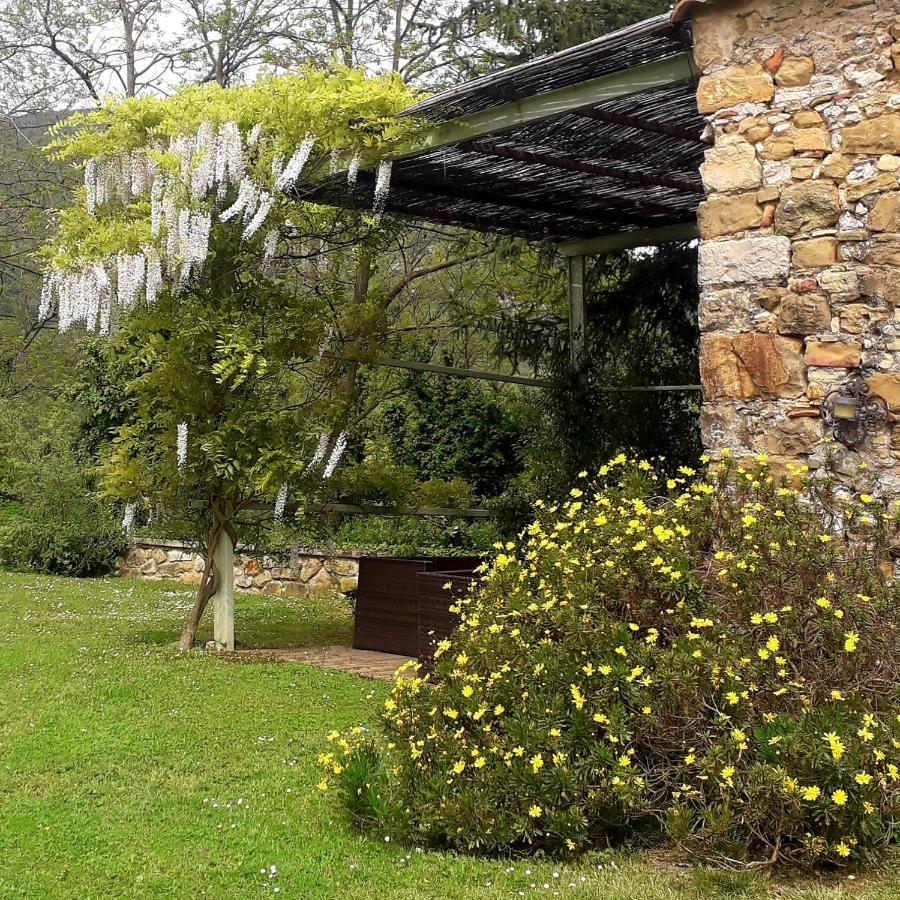 Can Pedragos Sales de Llierca ภายนอก รูปภาพ
